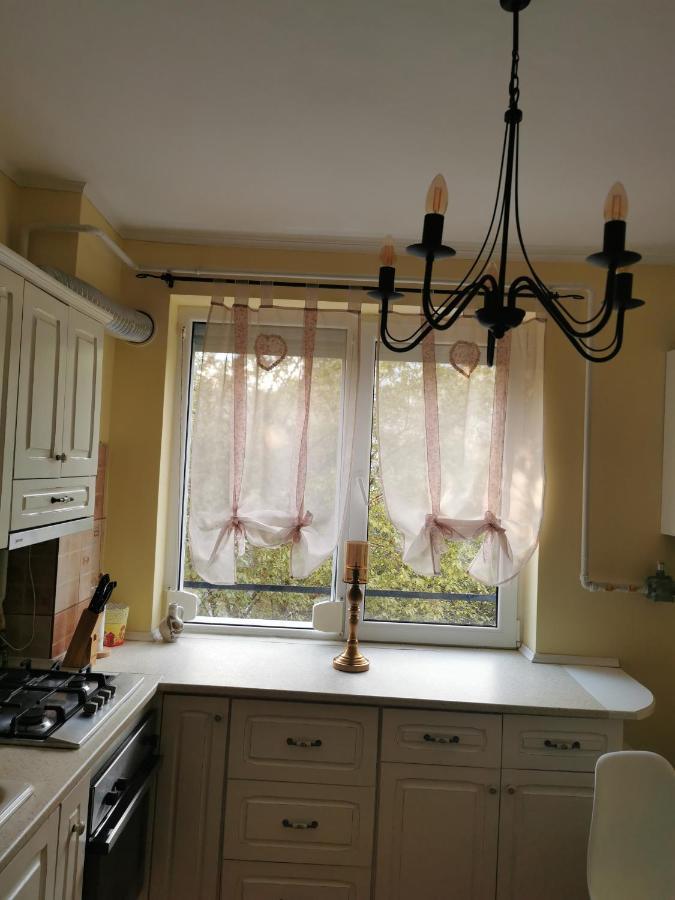 Chic Apartment Brăila Екстериор снимка