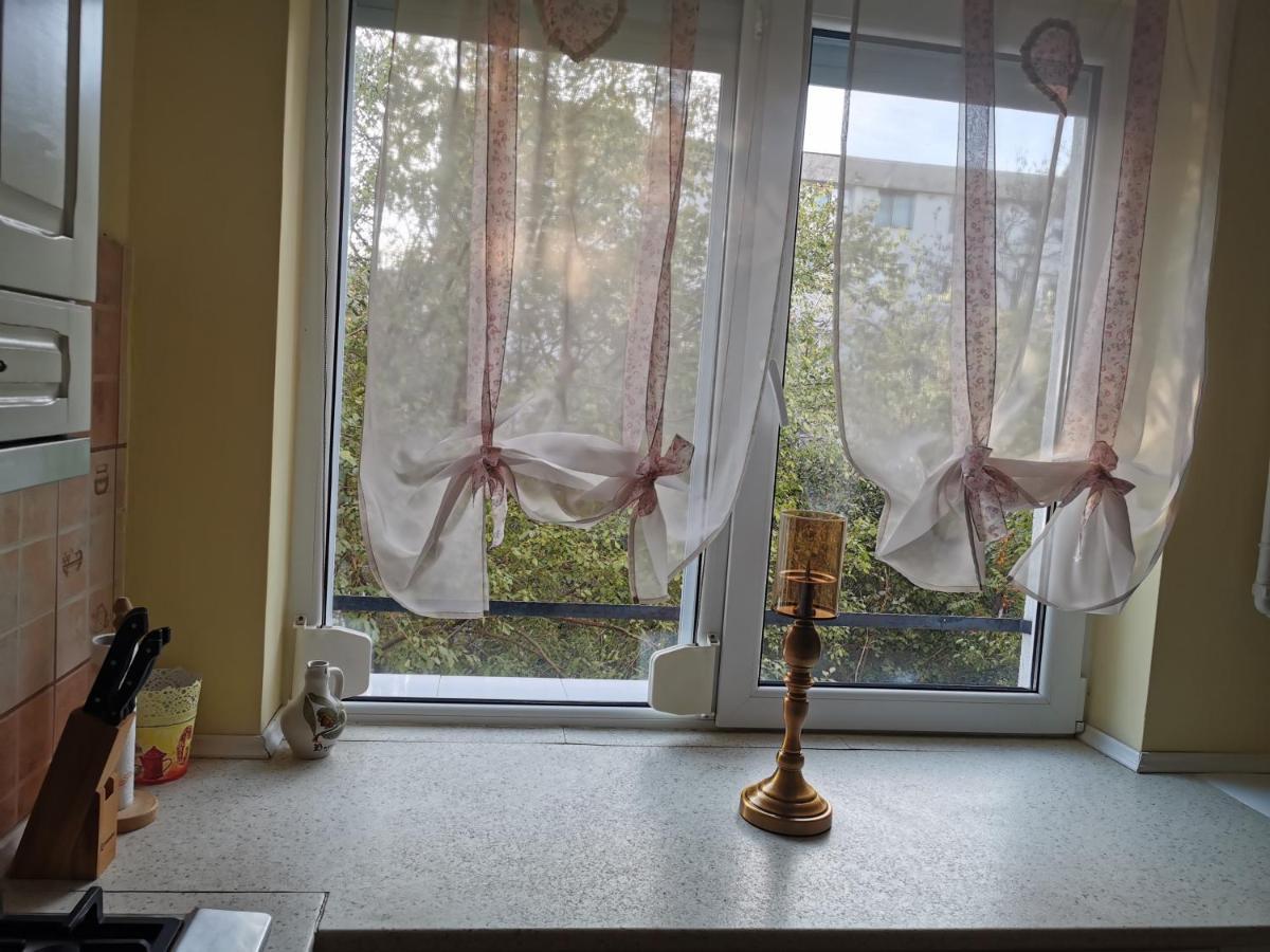 Chic Apartment Brăila Екстериор снимка